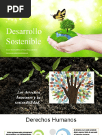 Desarollo Sostenible-Ambiental