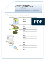 1º Básico INTERMEDIA LENGUAJE
