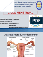 Ciclo Mestrual