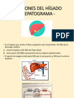 Funciones Del Hígado y Hepatograma