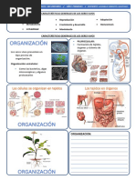 Características de Los Seres Vivos