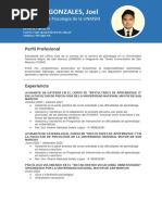 Roger Joel Quispe Gonzales - Curriculum Vitae