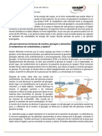 Insulina, Glucagon y Adrenalina