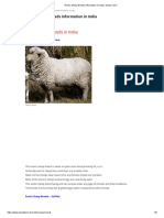 Exotic Sheep Breeds Information in India - Sheep Farm