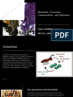 Mutualism, Parasitism, Commensalism, and Adaptation: Name: Maithili Karande SRN No.: 202000140