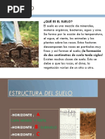 Estructura Del Suelo