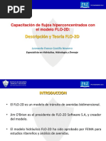 4.descripcion y Teoria FLO2D