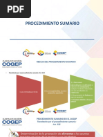 12 - Curso Cogep Sumario y Ejecutivo