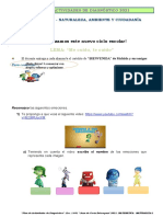 Final Actividades de Diagnóstico 2021 Matematica 4º