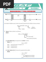 Monomios y Polinomios