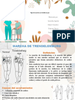 Tipos de Marcha en El Adulto Mayor