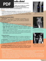 Fractura de Radio Distal