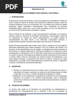 TAREA - Informe Practico