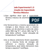 Determinação Da Capacidade Térmica Mássica