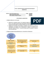 PRÁCTICA 3 - Pre-Informe