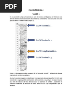 Paleontología Paleocorrientes (Taller 4)
