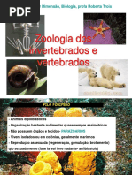 Zoologia Dos Invertebrados e Vertebrados: Pré-Vestibular Dimensão, Biologia, Profa Roberta Trois