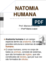 ANATOMIA HUMANA - Prof. Marcos A.Nicolau