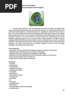 Chapter 5 Lesson 1-Cell Structures Involved in Transport