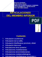 12.) Articulaciones de Miembro Inferior - Prof. Iraima Acuña