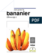 Descripteurs Bananier