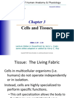 Anaphy - Chapter-3-Cells-andTissues