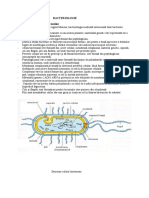 Caractere Generale Ale Bacteriilor