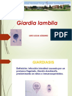 Tema 6. Giardia Lambia