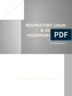 Respiratory Chain & Oxidative Phosphorylation