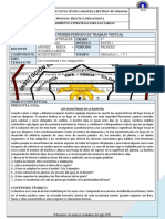 Módulo 6° Ecolo 1 Pdo