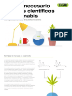 Cannabis Adviser Purification Es Es