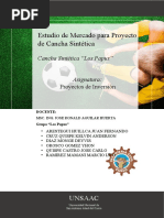 Proyecto de Invercion - Cancha Sintetica