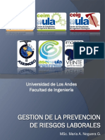 Gestion de La Seguridad y Salud Laboral ULA