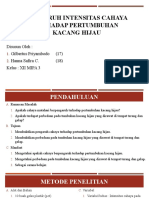 Laporan Percobaan, Pengaruh Intensitas Cahaya Terhadap Pertumbuhan Kacang Hijau