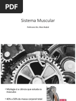 Aula Sistema Muscular - Fisio