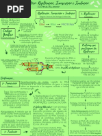 Mapa Mental - REPLICAÇÃO, TRADUÇÃO E TRANSCRIÇÃO. 