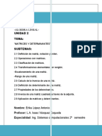 Matrices y Determinantes