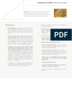 Folletoinformativo Tdcorogarantizada