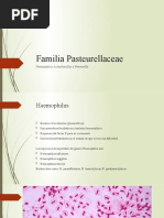 Familia Pasteurellaceae