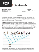 Taxonomia Atividade