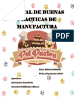 Manual de BPM PDF