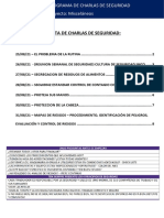 Charlas de Seguridad Del 25.08 Al 31.08