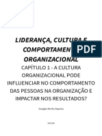 Liderança, Cultura e Comportamento Organizacional