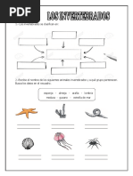 Animales Invertebrados 2°