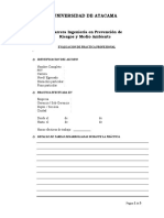 Evaluacion de Practica Profesional Ingenieria en Prevencion de Riegos y Medio Ambiente