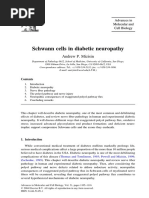 Schwann Desmielinización 3