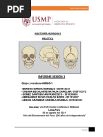 Informe Anatomía Humana II Sesión 3