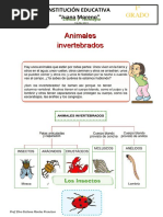 26.08 Animales Invertebrados