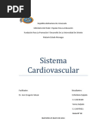 4 Qué Es El Sistema Cardiovascular y Cuál Es Su Función