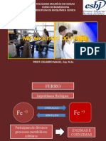 Aula de Metabolismo Do Ferro